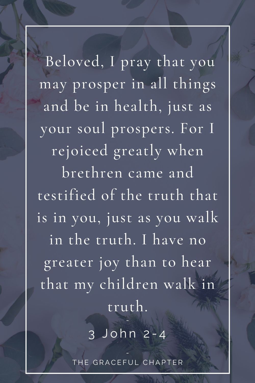 Beloved, I pray that you may prosper in all things and be in health, just as your soul prospers. For I rejoiced greatly when brethren came and testified of the truth that is in you, just as you walk in the truth. I have no greater joy than to hear that my children walk in truth. 3 John 2-4