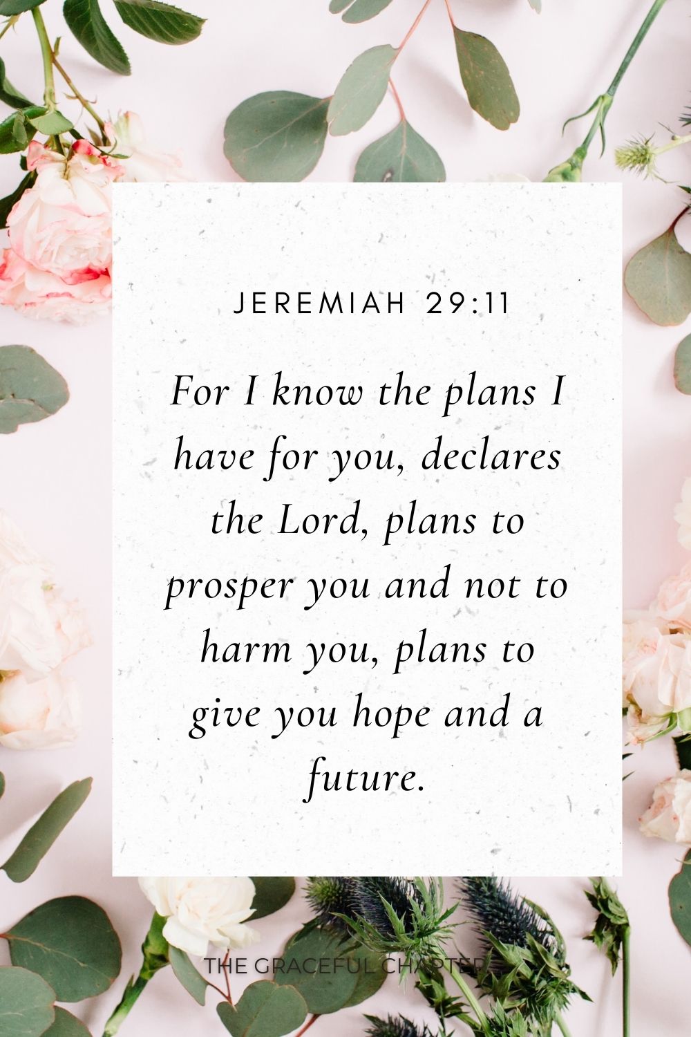 For I know the plans I have for you, declares the Lord, plans to prosper you and not to harm you, plans to give you hope and a future. Jeremiah 29:11