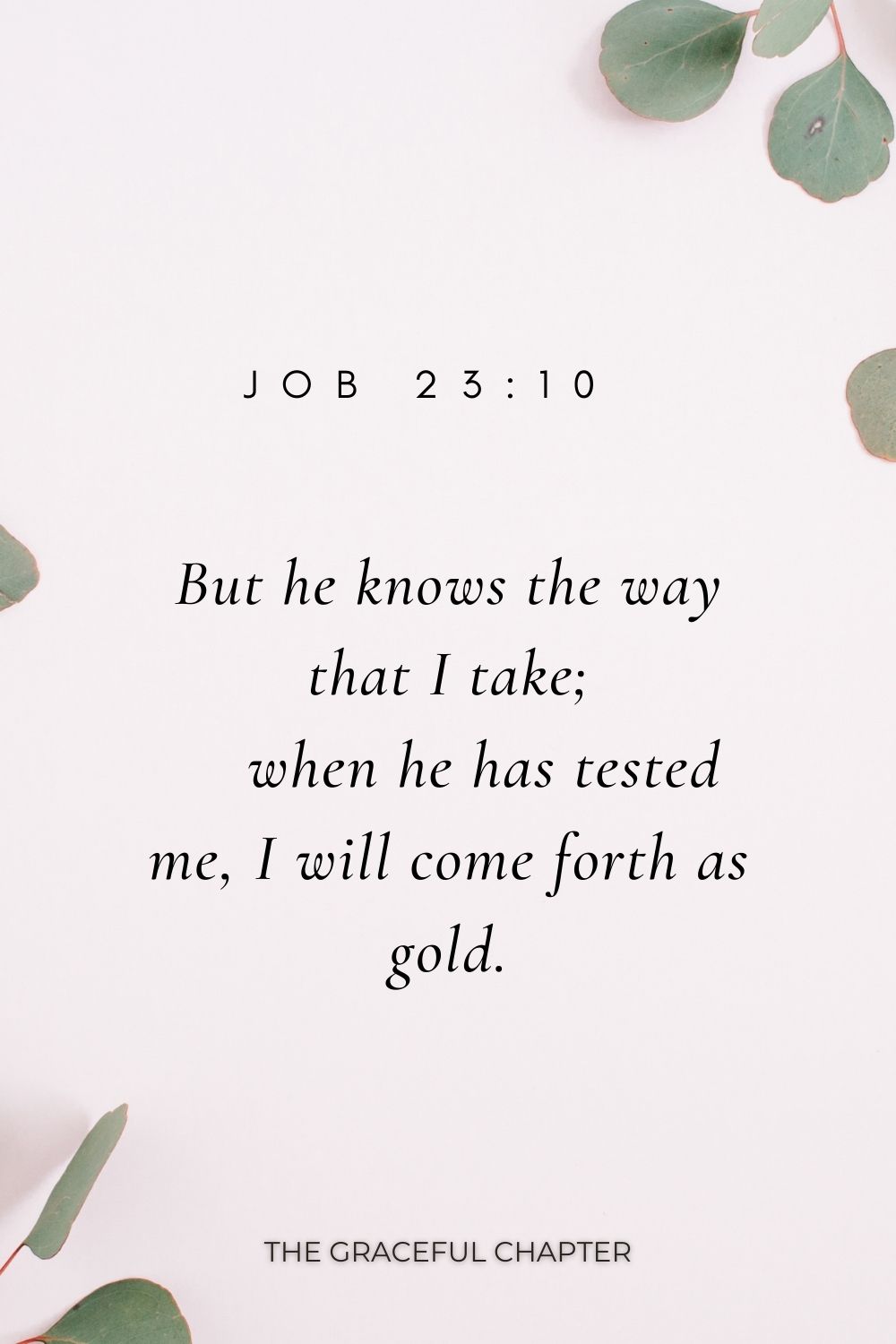 But he knows the way that I take;     when he has tested me, I will come forth as gold. Job 23:10