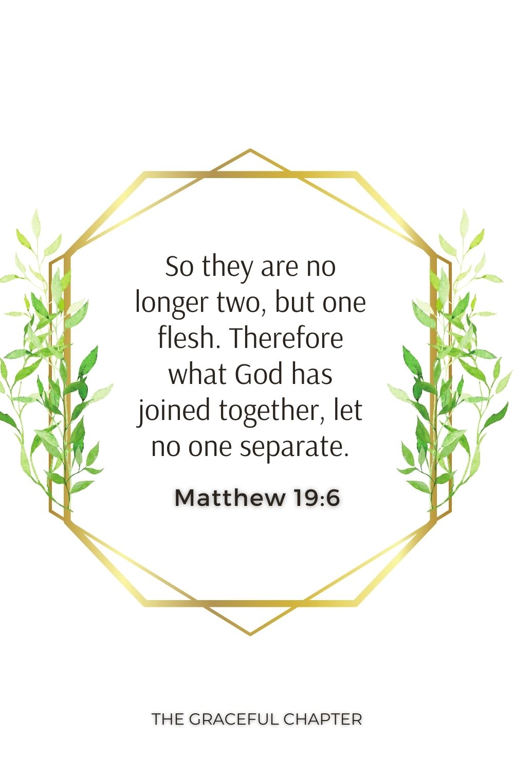 So they are no longer two, but one flesh. Therefore what God has joined together, let no one separate. Matthew 19:6