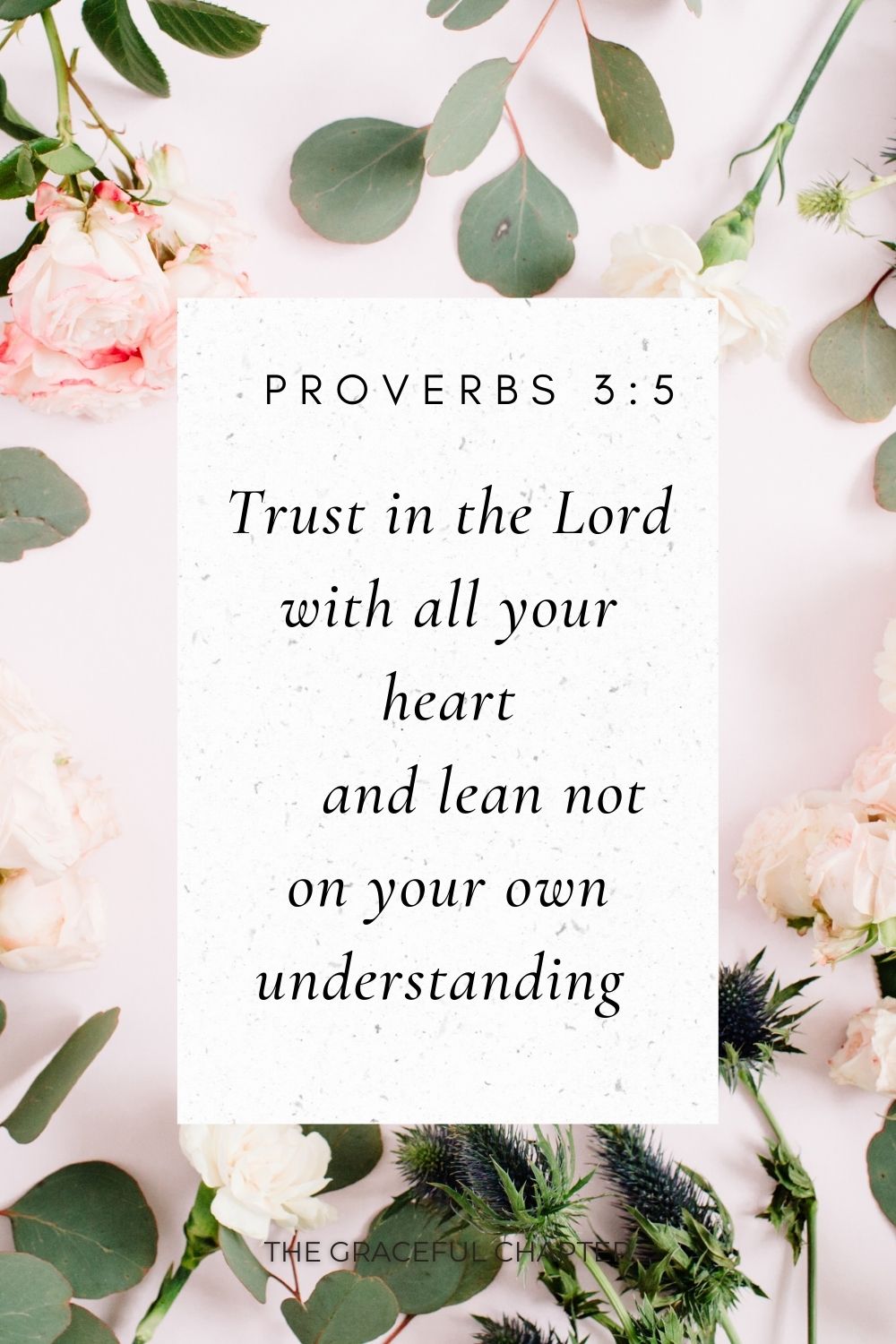Trust in the Lord with all your heart     and lean not on your own understanding  Proverbs 3:5