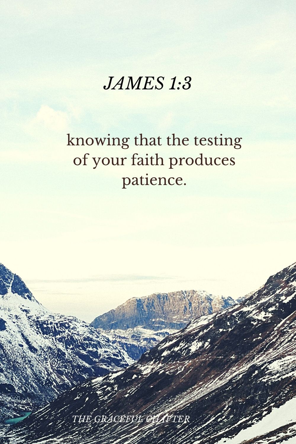 knowing that the testing of your faith produces patience. James 1:3