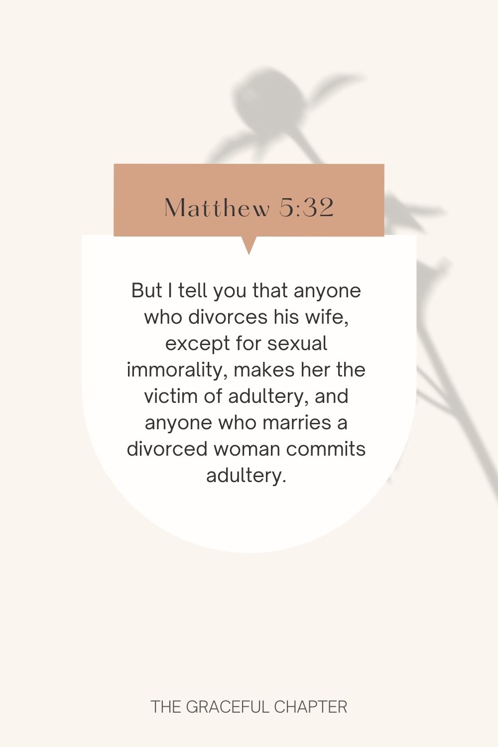 But I tell you that anyone who divorces his wife, except for sexual immorality, makes her the victim of adultery, and anyone who marries a divorced woman commits adultery. Matthew 5:32