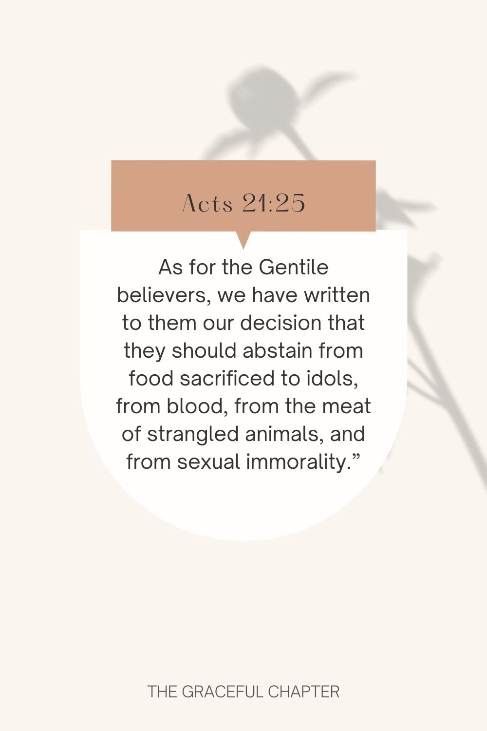 As for the Gentile believers, we have written to them our decision that they should abstain from food sacrificed to idols, from blood, from the meat of strangled animals, and from sexual immorality.” Acts 21:25