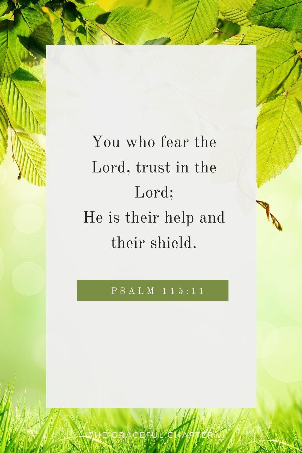 You who fear the Lord, trust in the Lord; He is their help and their shield. Psalm 115:11