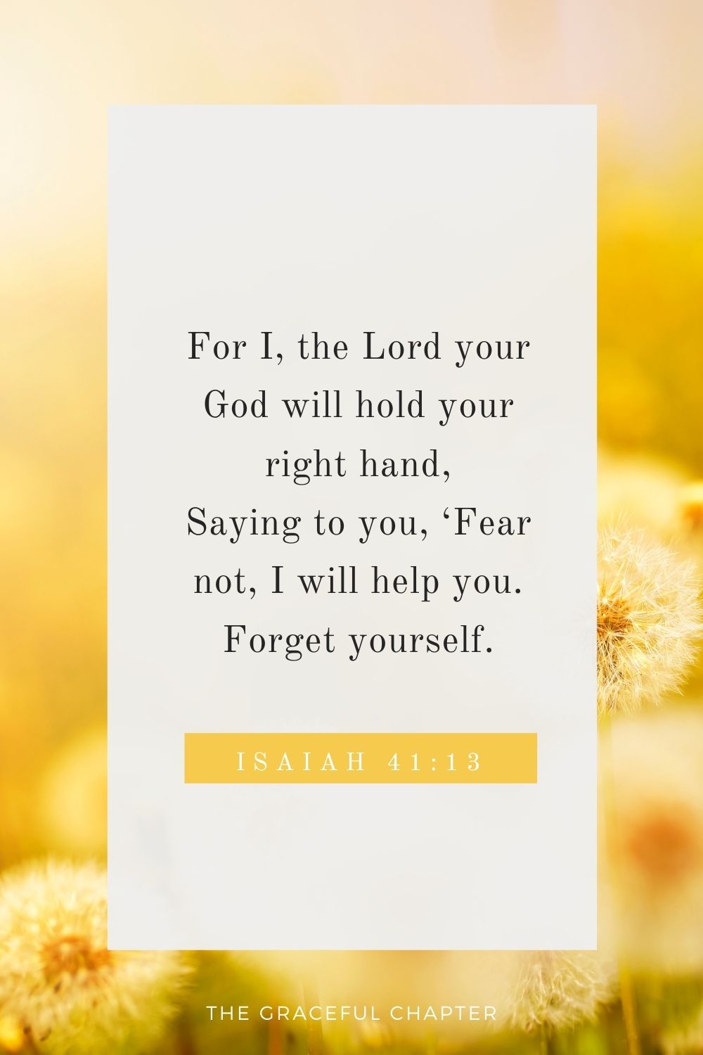 For I, the Lord your God will hold your right hand, Saying to you, ‘Fear not, I will help you. Isaiah 41:13