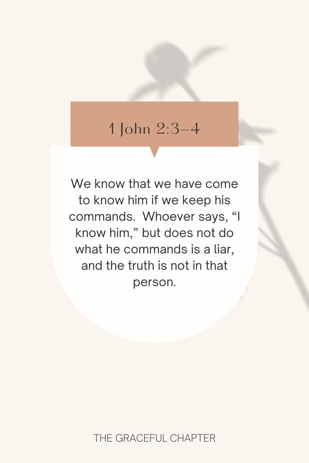 We know that we have come to know him if we keep his commands.  Whoever says, “I know him,” but does not do what he commands is a liar, and the truth is not in that person. 1 John 2:3-4