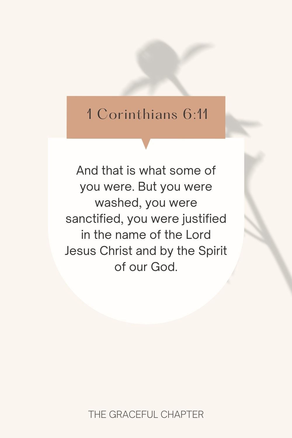 And that is what some of you were. But you were washed, you were sanctified, you were justified in the name of the Lord Jesus Christ and by the Spirit of our God. 1 Corinthians 6:11