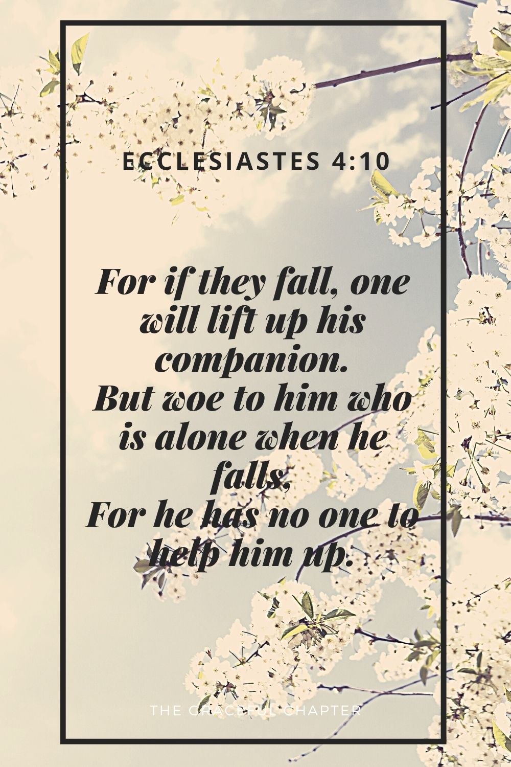 For if they fall, one will lift up his companion. But woe to him who is alone when he falls, For he has no one to help him up. Ecclesiastes 4:10