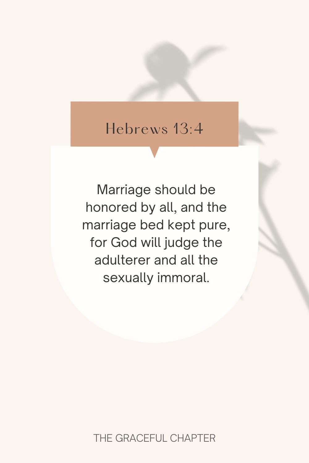 Marriage should be honored by all, and the marriage bed kept pure, for God will judge the adulterer and all the sexually immoral. Hebrews 13:4