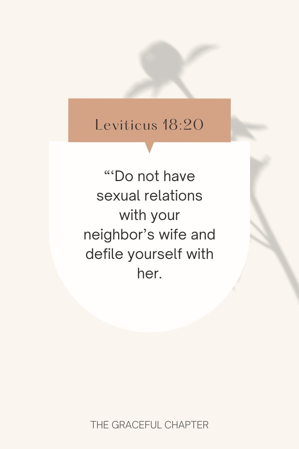 Do not have sexual relations with your neighbor’s wife and defile yourself with her. Leviticus 18:20