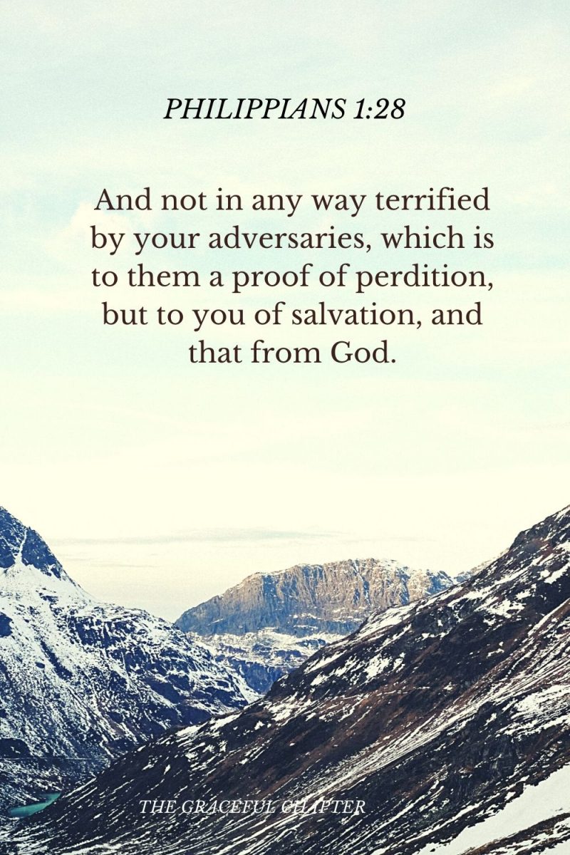 40 Bible Verses About Overcoming Adversity - The Graceful Chapter