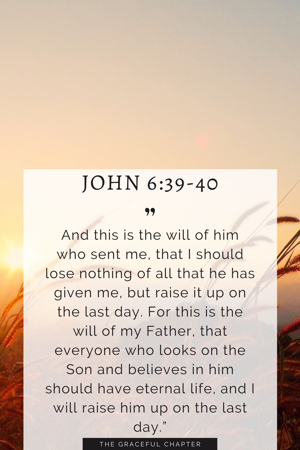 And this is the will of him who sent me, that I should lose nothing of all that he has given me, but raise it up on the last day. For this is the will of my Father, that everyone who looks on the Son and believes in him should have eternal life, and I will raise him up on the last day.” John 6:39-40