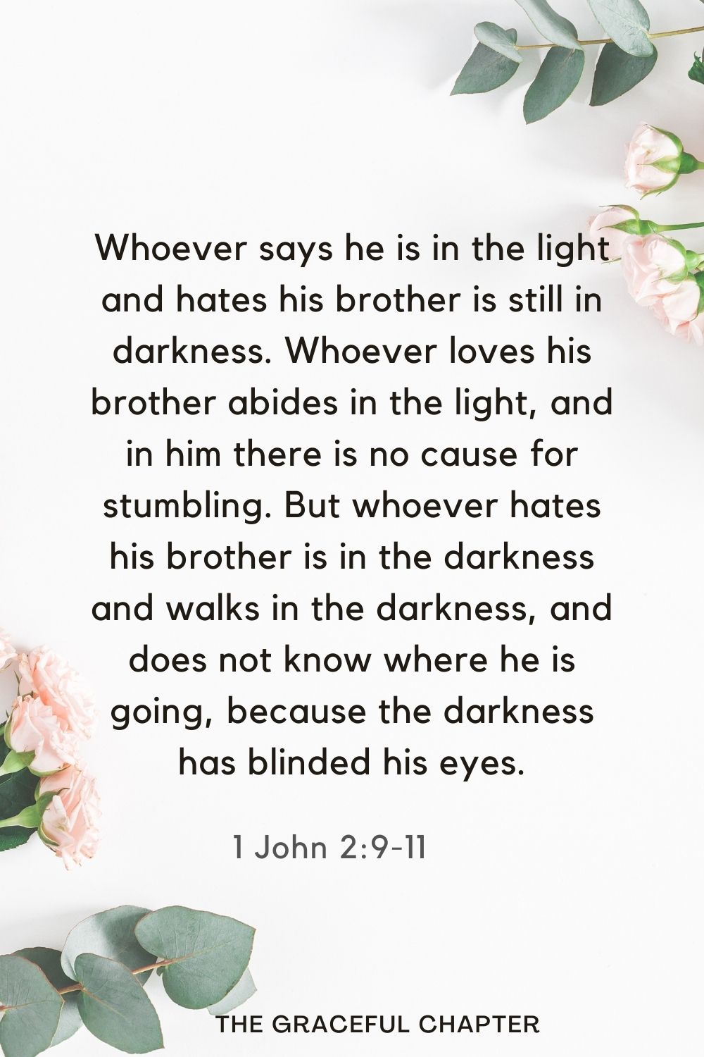 Whoever says he is in the light and hates his brother is still in darkness. Whoever loves his brother abides in the light, and in him there is no cause for stumbling. But whoever hates his brother is in the darkness and walks in the darkness, and does not know where he is going, because the darkness has blinded his eyes. 1 John 2:9-11