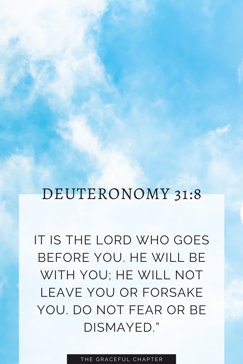 It is the Lord who goes before you. He will be with you; he will not leave you or forsake you. Do not fear or be dismayed.” Deuteronomy 31:8