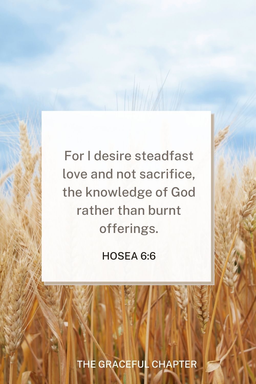 For I desire steadfast love and not sacrifice, the knowledge of God rather than burnt offerings. Hosea 6:6