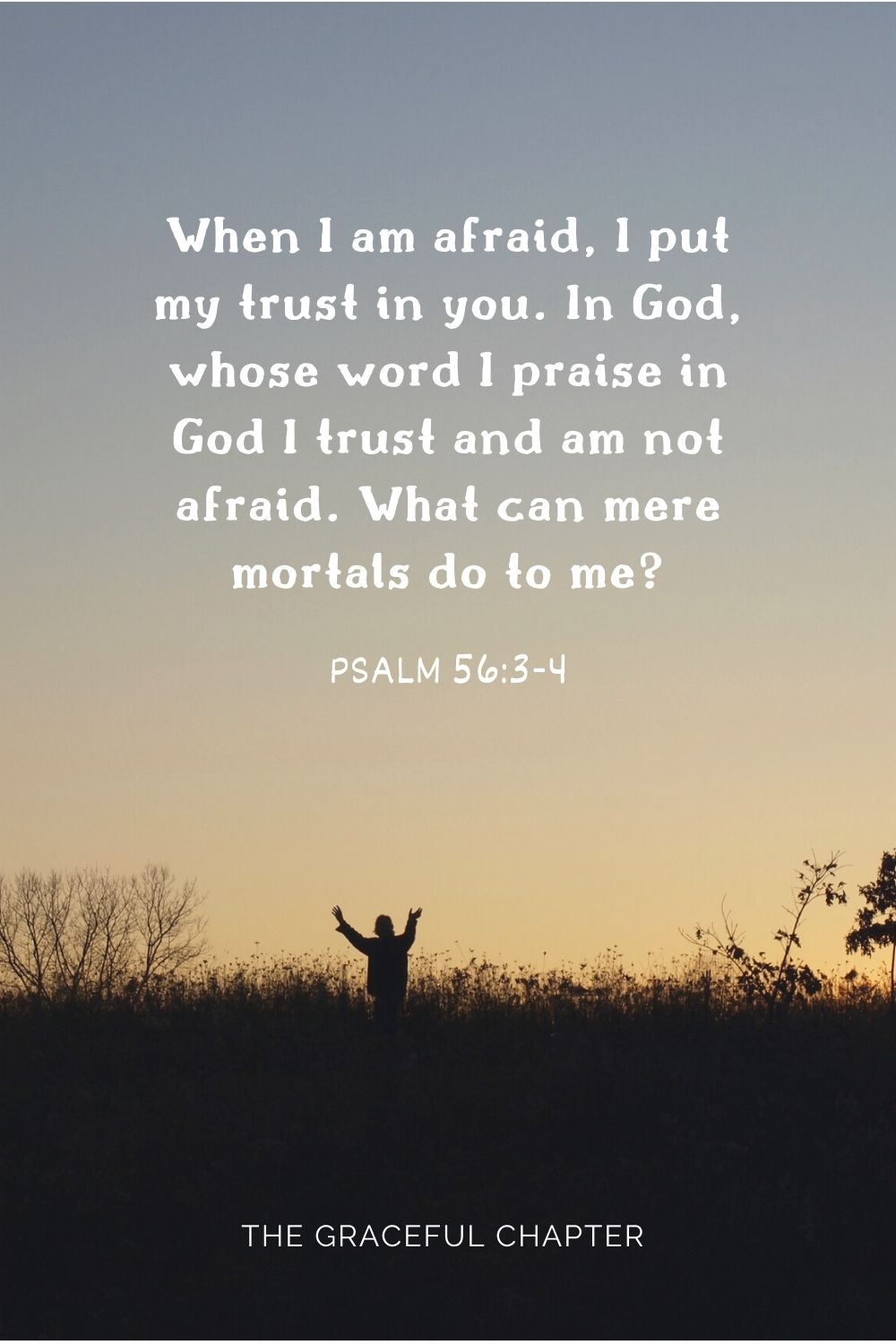 When I am afraid, I put my trust in you.  In God, whose word I praise in God I trust and am not afraid. What can mere mortals do to me? Psalm 56:3-4
