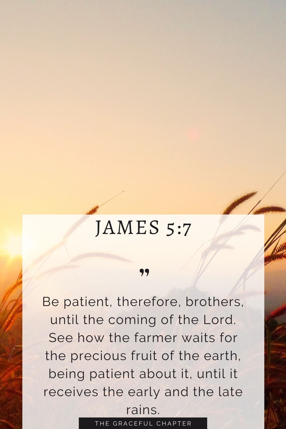 Be patient, therefore, brothers, until the coming of the Lord. See how the farmer waits for the precious fruit of the earth, being patient about it, until it receives the early and the late rains. James 5:7