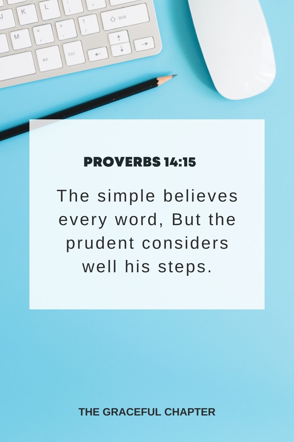 The simple believes every word, But the prudent considers well his steps. Proverbs 14:15
