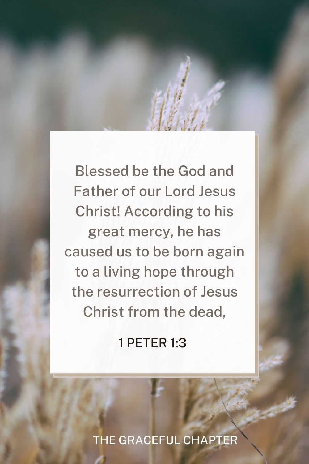 Blessed be the God and Father of our Lord Jesus Christ! According to his great mercy, he has caused us to be born again to a living hope through the resurrection of Jesus Christ from the dead, 1 Peter 1:3