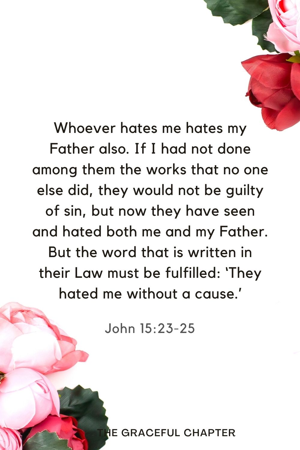 Whoever hates me hates my Father also. If I had not done among them the works that no one else did, they would not be guilty of sin, but now they have seen and hated both me and my Father. But the word that is written in their Law must be fulfilled: ‘They hated me without a cause.’ John 15:23-25