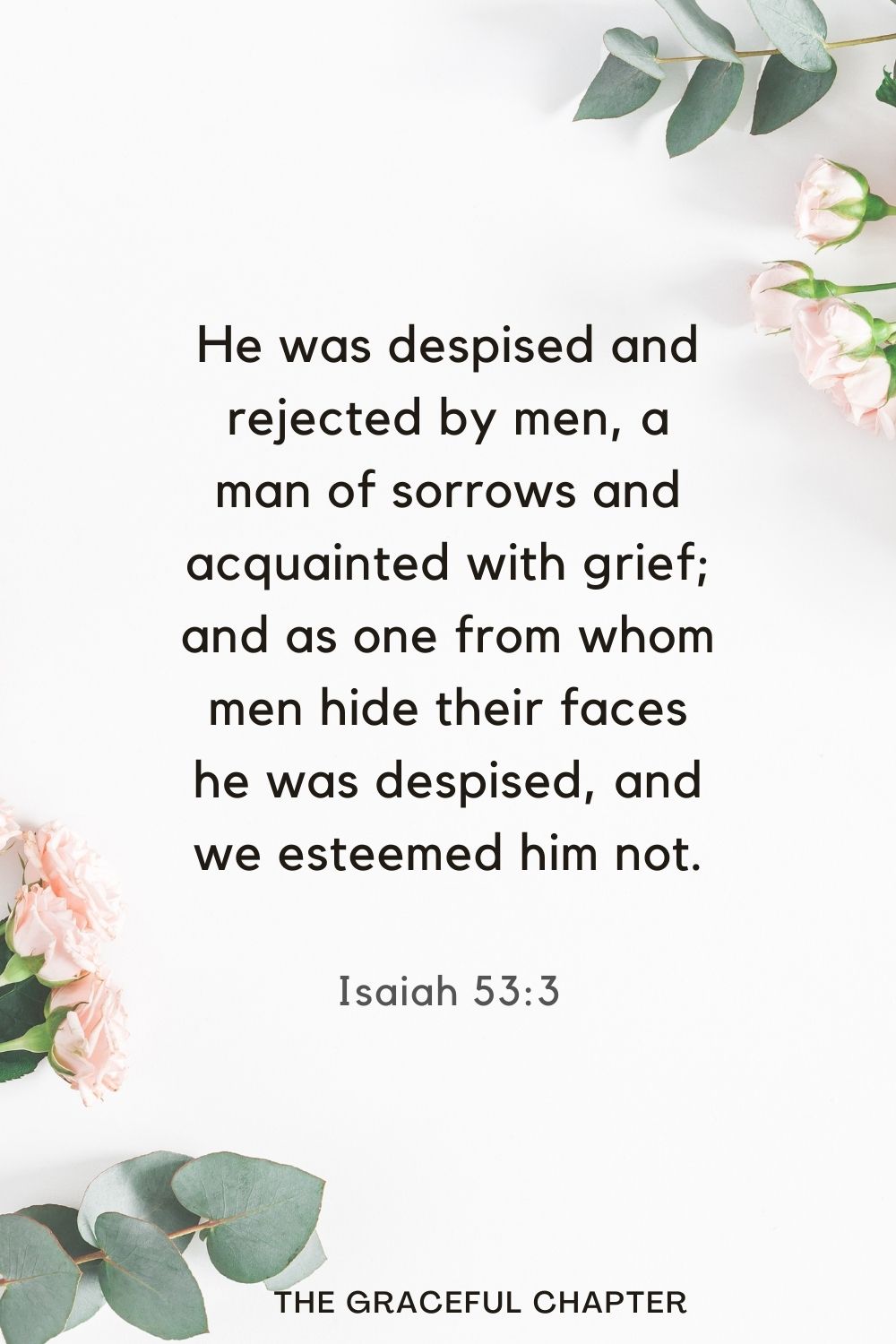 He was despised and rejected by men, a man of sorrows and acquainted with grief; and as one from whom men hide their faces he was despised, and we esteemed him not. Isaiah 53:3