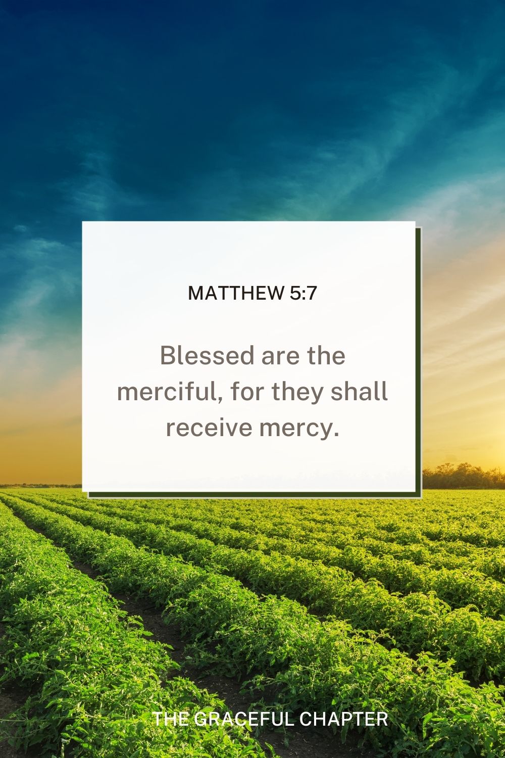 Blessed are the merciful, for they shall receive mercy. Matthew 5:7 - mercy bible verses esv