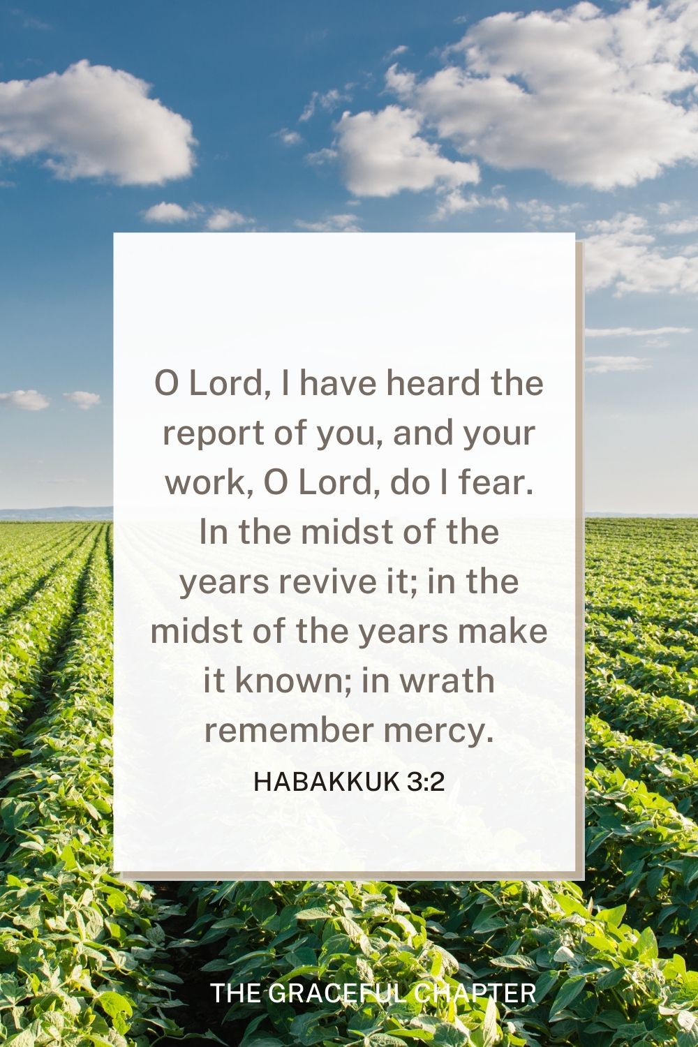 O Lord, I have heard the report of you, and your work, O Lord, do I fear. In the midst of the years revive it; in the midst of the years make it known; in wrath remember mercy. Habakkuk 3:2