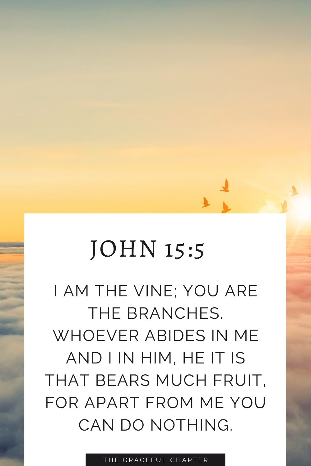 I am the vine; you are the branches. Whoever abides in me and I in him, he it is that bears much fruit, for apart from me you can do nothing. John 15:5