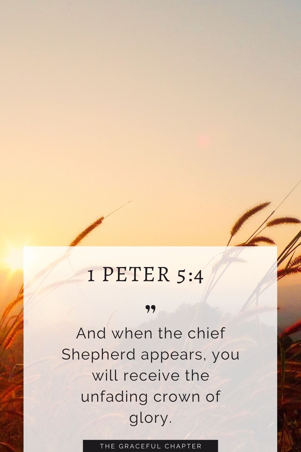 And when the chief Shepherd appears, you will receive the unfading crown of glory. 1 Peter 5:4