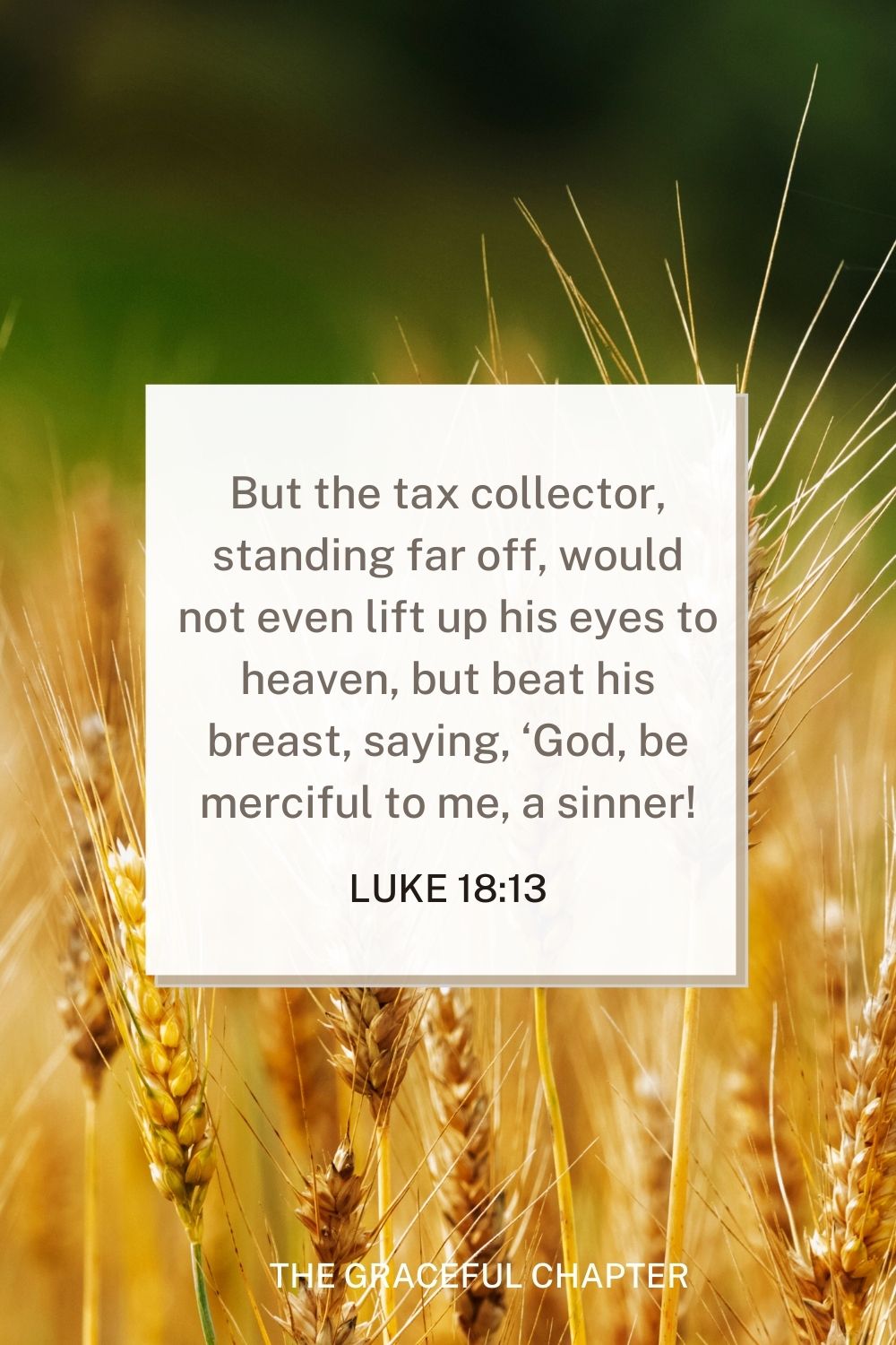 But the tax collector, standing far off, would not even lift up his eyes to heaven, but beat his breast, saying, ‘God, be merciful to me, a sinner!’ Luke 18:13