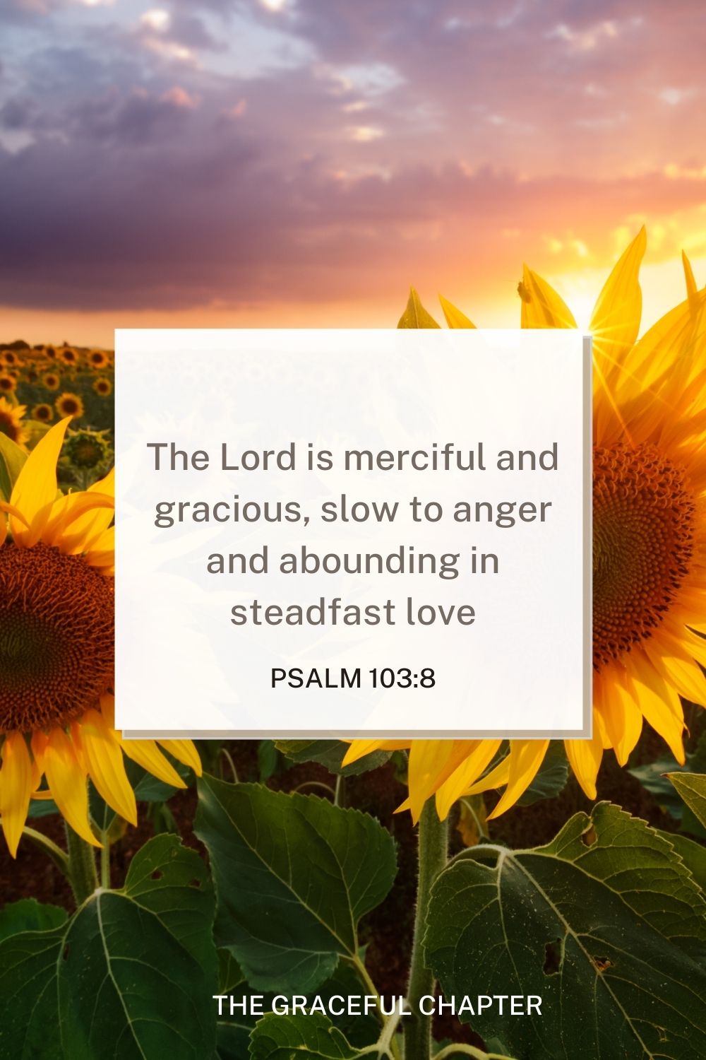 The Lord is merciful and gracious, slow to anger and abounding in steadfast love Psalm 103:8