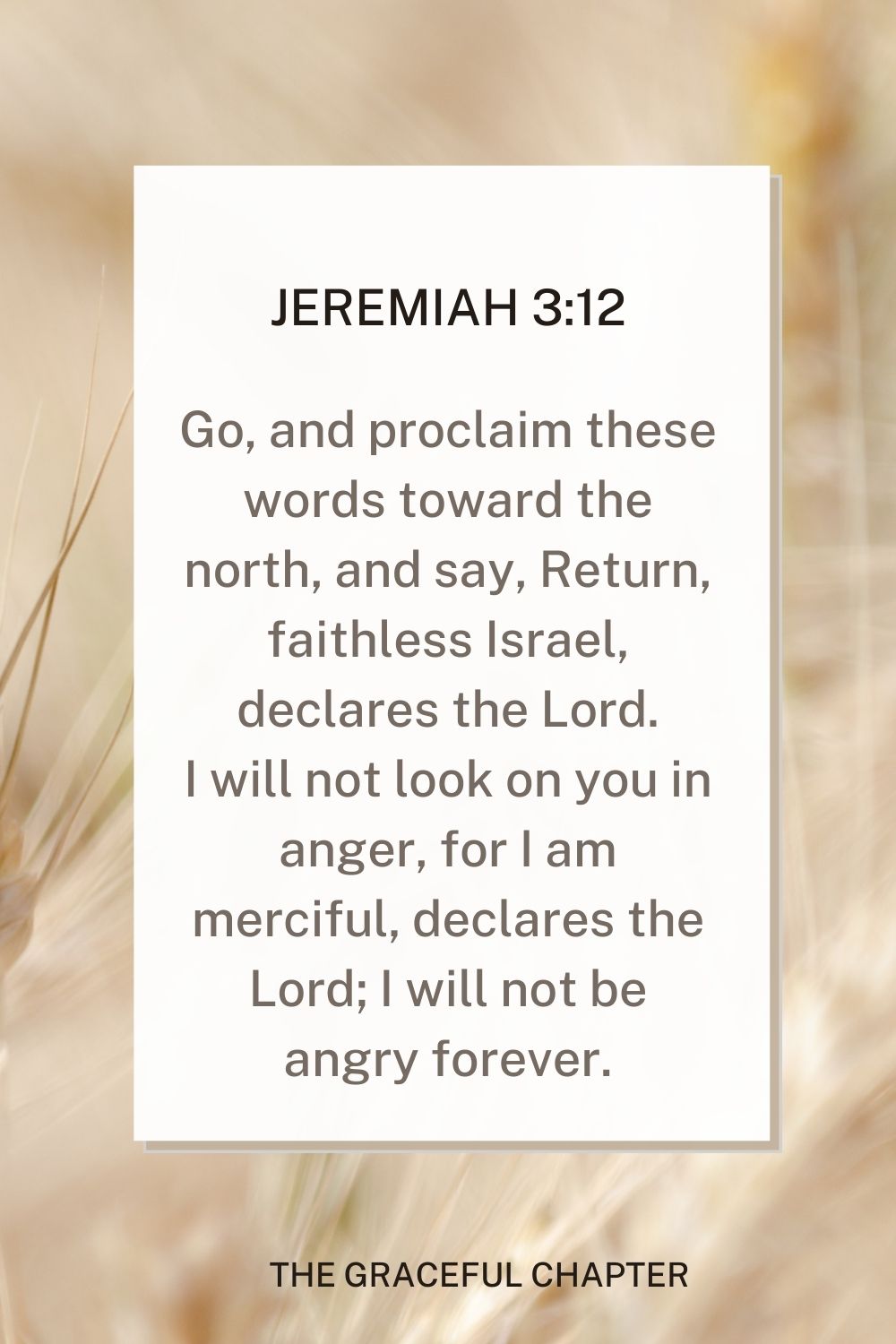 Go, and proclaim these words toward the north, and say, Return, faithless Israel, declares the Lord. I will not look on you in anger, for I am merciful, declares the Lord; I will not be angry forever. Jeremiah 3:12