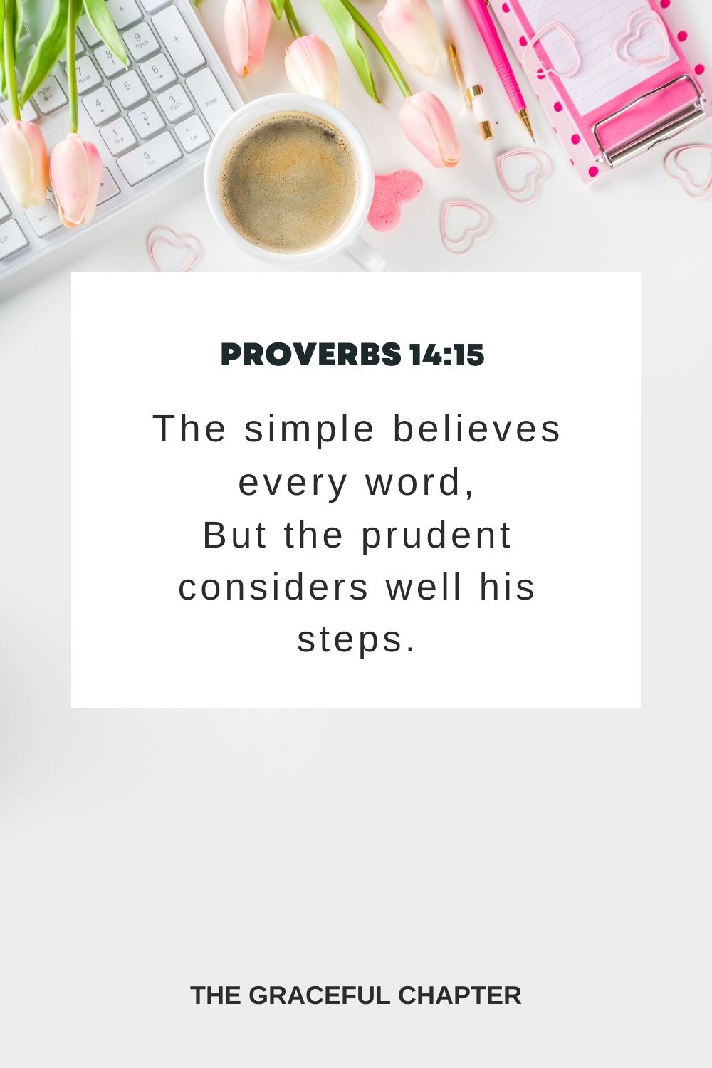 The simple believes every word, But the prudent considers well his steps. Proverbs 14:15