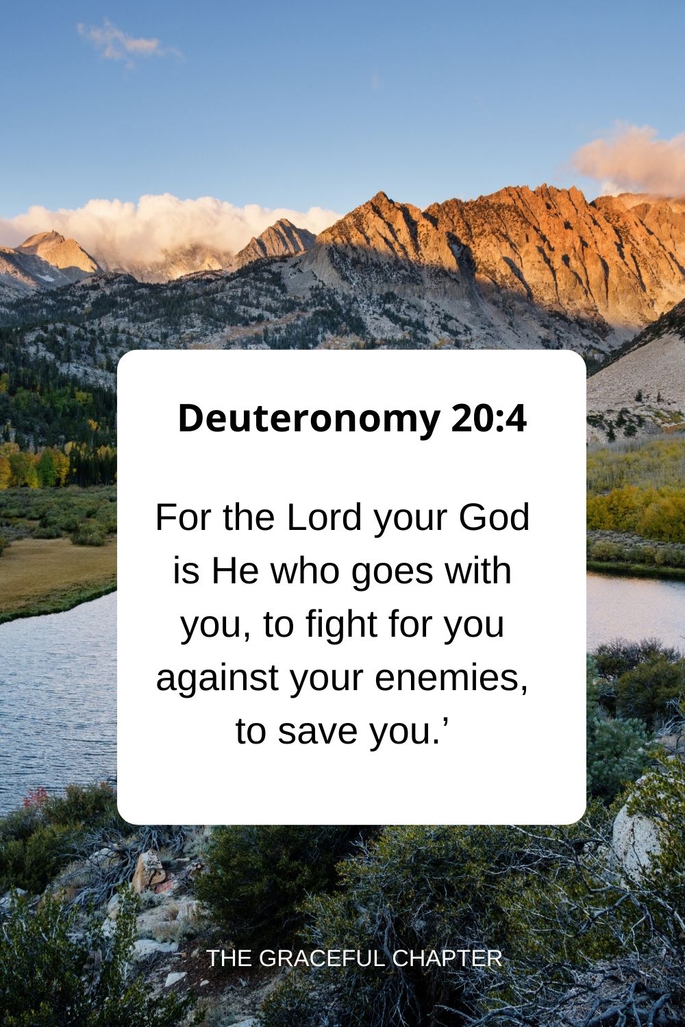 For the Lord your God is He who goes with you, to fight for you against your enemies, to save you.’ Deuteronomy 20:4