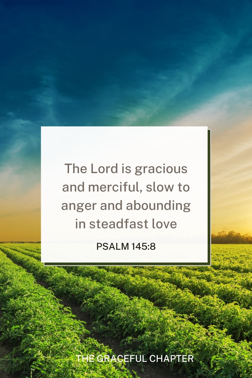 The Lord is gracious and merciful, slow to anger and abounding in steadfast love. 4