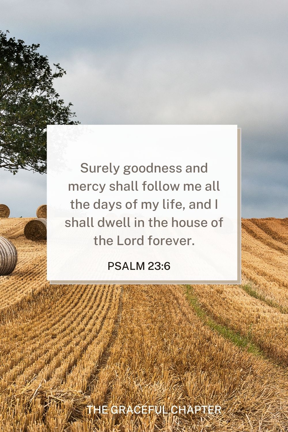 Surely goodness and mercy shall follow me all the days of my life, and I shall dwell in the house of the Lord forever. Psalm 23:6