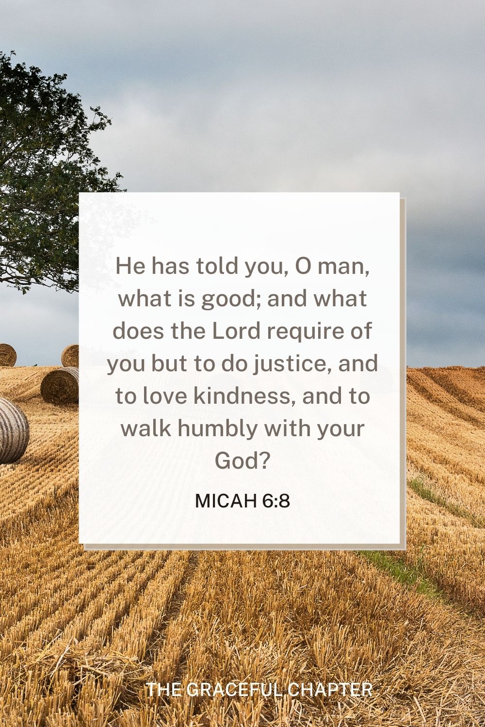 He has told you, O man, what is good; and what does the Lord require of you but to do justice, and to love kindness, and to walk humbly with your God? Micah 6:8