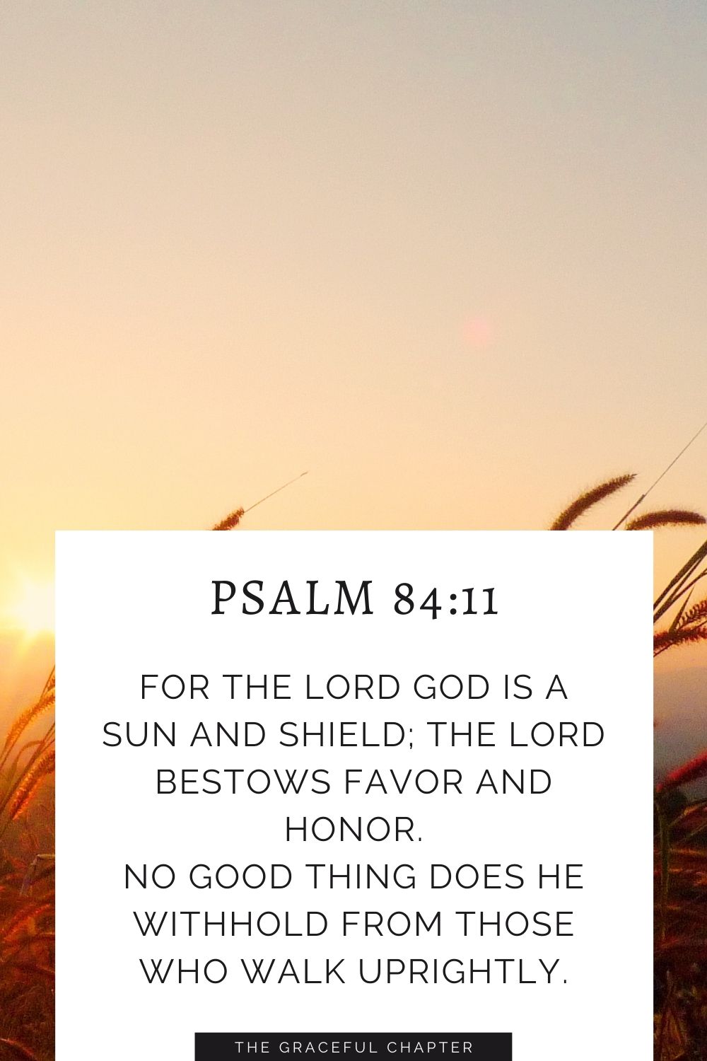 For the Lord God is a sun and shield; the Lord bestows favor and honor. No good thing does he withhold from those who walk uprightly. Psalm 84:11