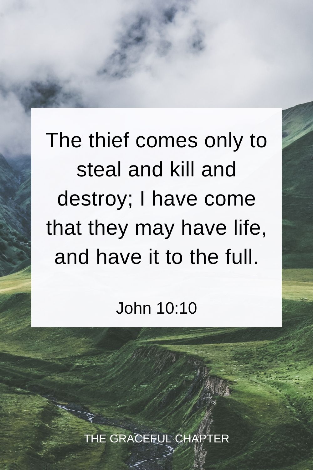 The thief comes only to steal and kill and destroy; I have come that they may have life, and have it to the full. John 10:10