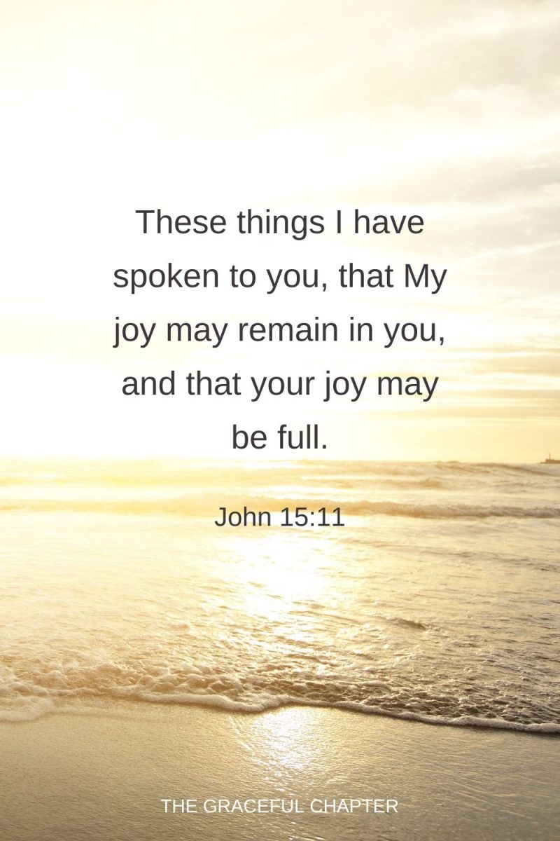 38 Bible Verses About Happiness - The Graceful Chapter