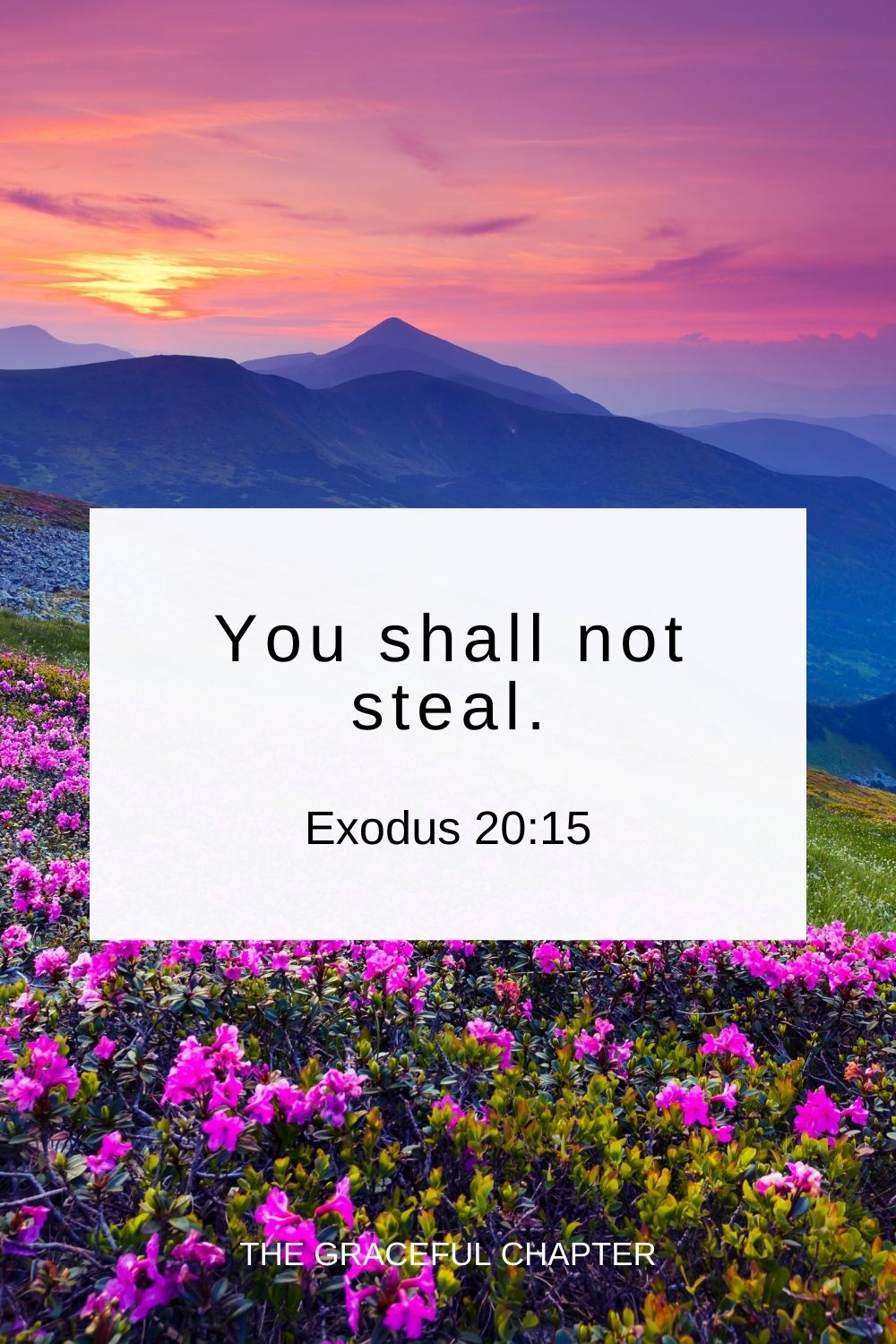 You shall not steal. Exodus 20:15