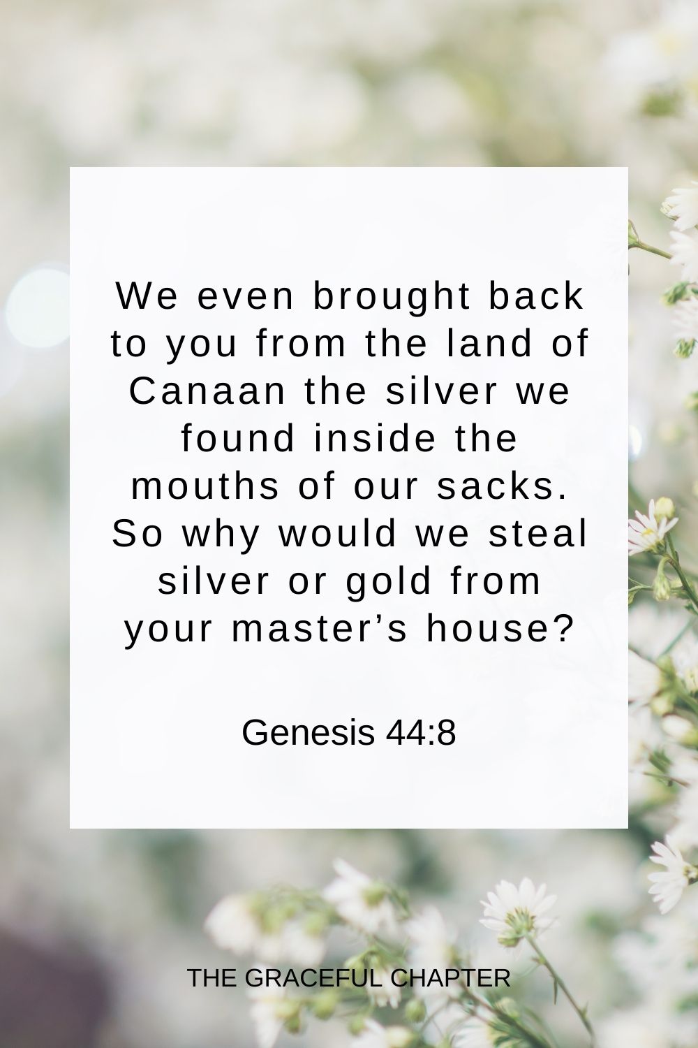 We even brought back to you from the land of Canaan the silver we found inside the mouths of our sacks. So why would we steal silver or gold from your master’s house? Genesis 44:8