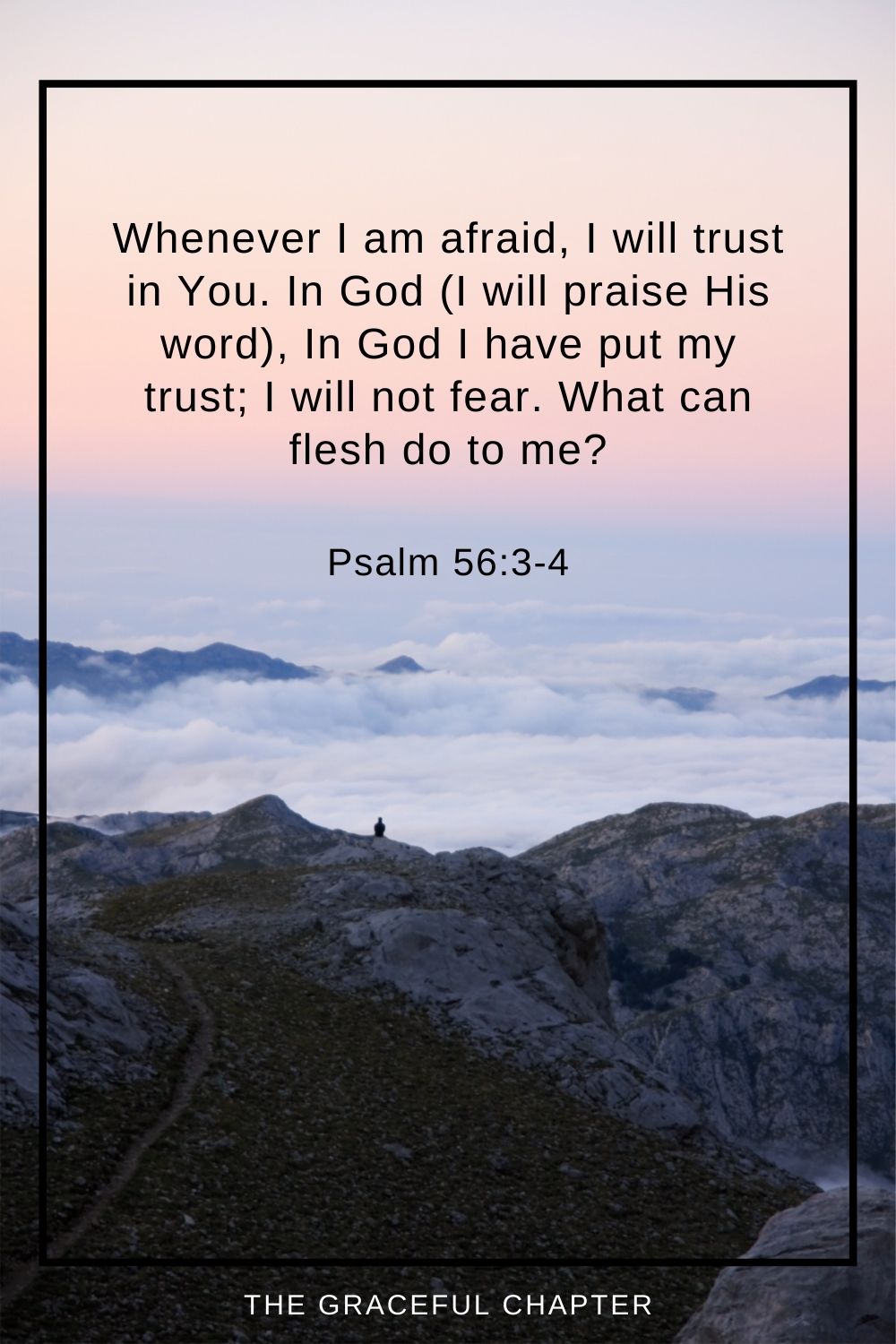 Whenever I am afraid, I will trust in You. In God (I will praise His word), In God I have put my trust; I will not fear. What can flesh do to me? Psalm 56:3-4