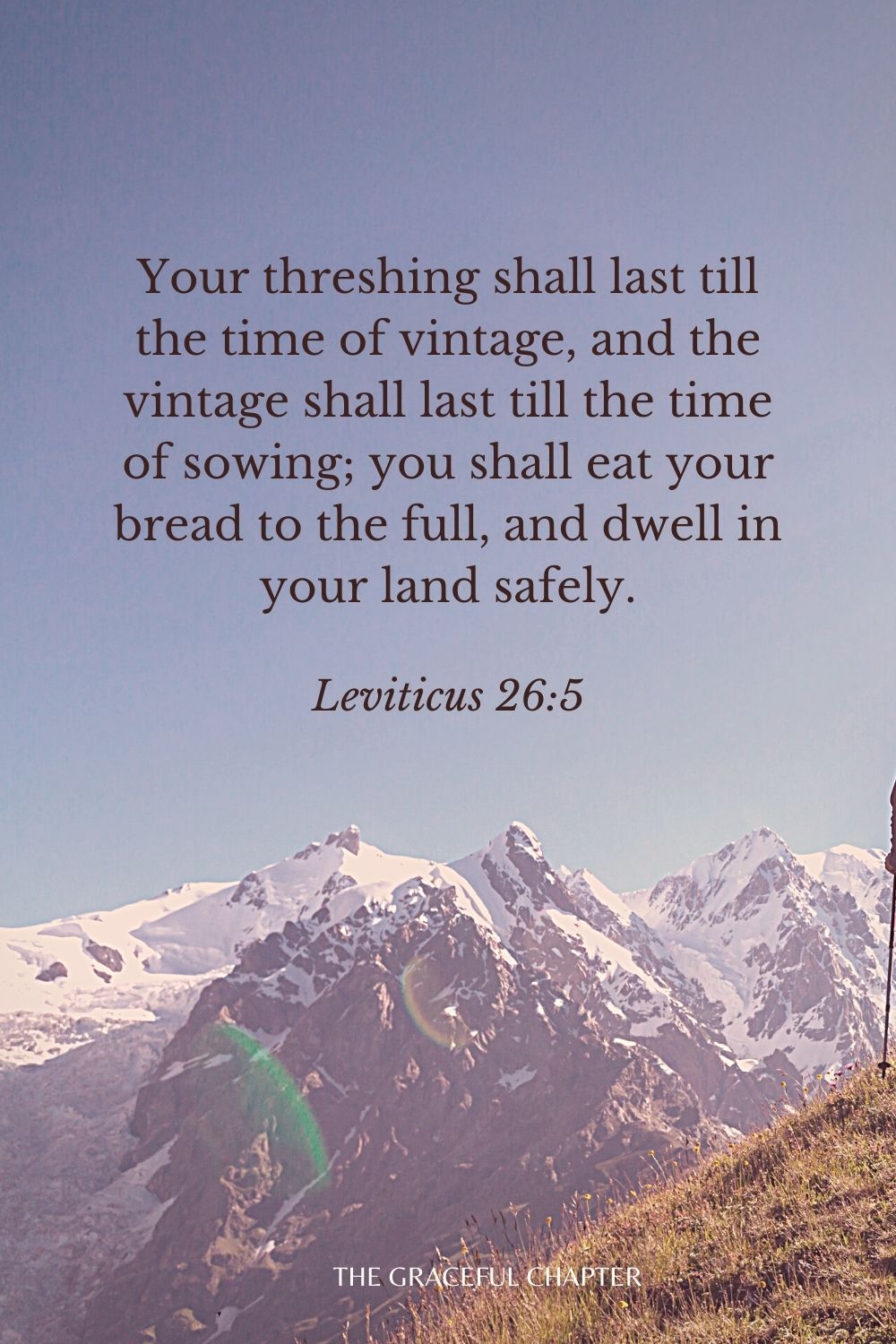 Your threshing shall last till the time of vintage, and the vintage shall last till the time of sowing; you shall eat your bread to the full, and dwell in your land safely. Leviticus 26:5