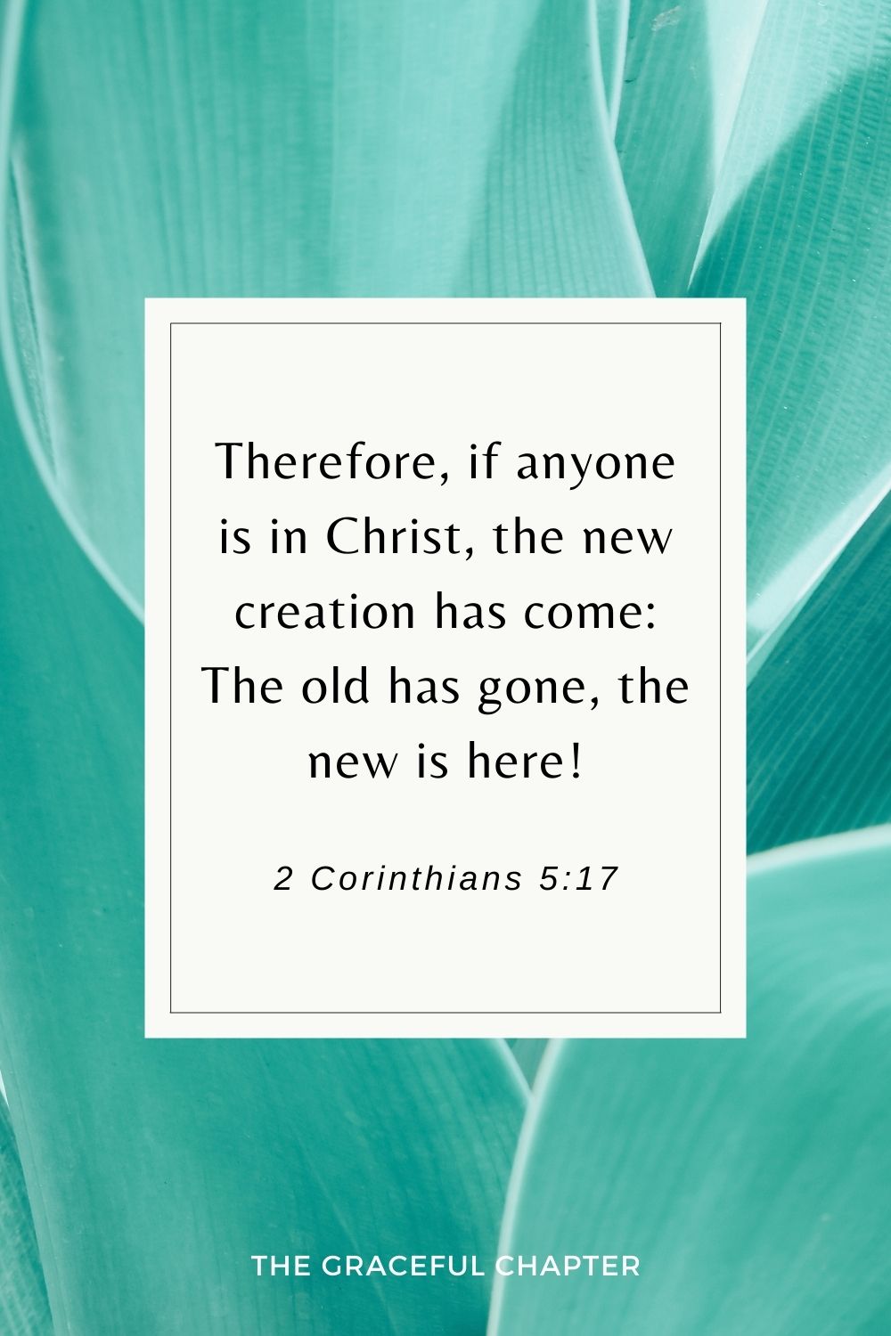 Therefore, if anyone is in Christ, the new creation has come: The old has gone, the new is here! 2 Corinthians 5:17