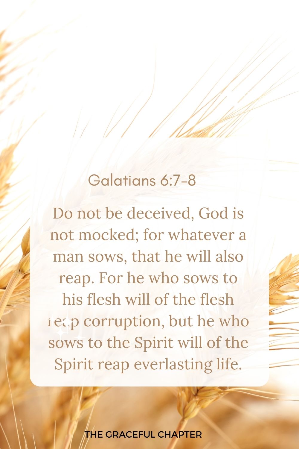 Do not be deceived, God is not mocked; for whatever a man sows, that he will also reap. For he who sows to his flesh will of the flesh reap corruption, but he who sows to the Spirit will of the Spirit reap everlasting life. Galatians 6:7-8