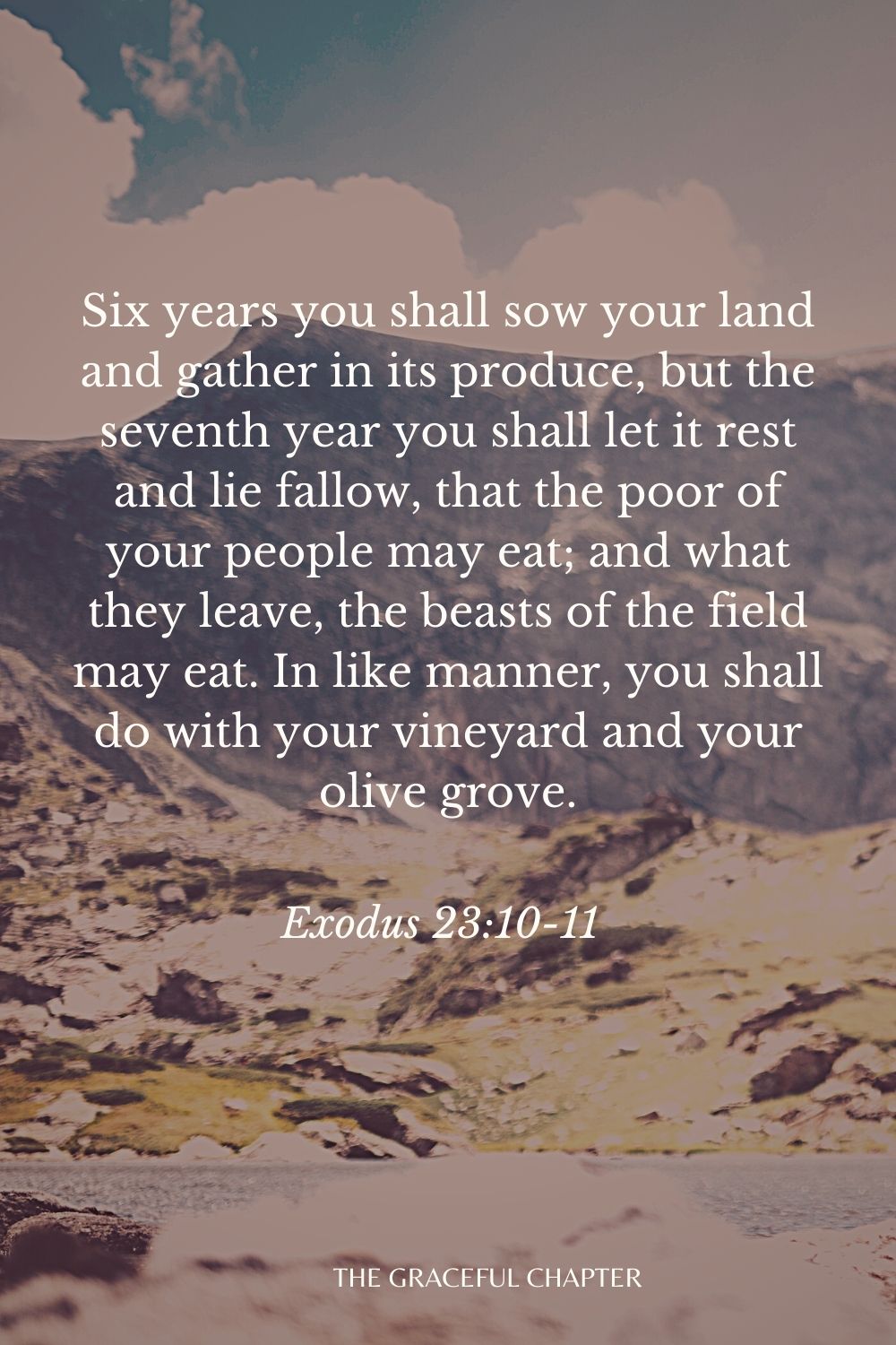 Six years you shall sow your land and gather in its produce, but the seventh year you shall let it rest and lie fallow, that the poor of your people may eat; and what they leave, the beasts of the field may eat. In like manner, you shall do with your vineyard and your olive grove. Exodus 23:10-11