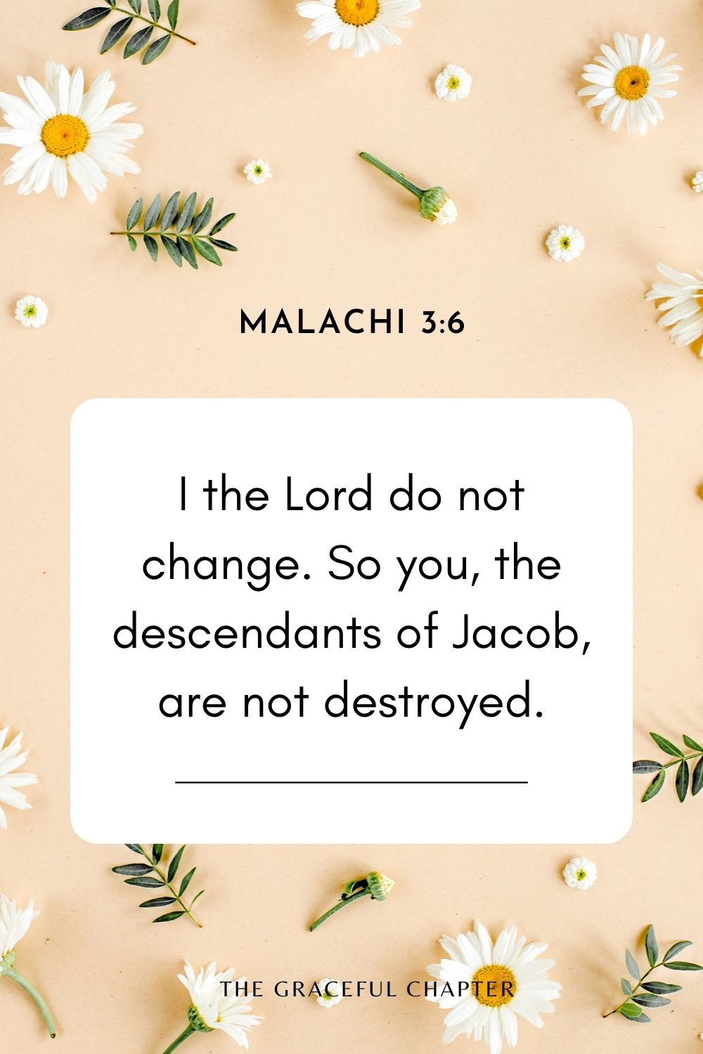 I the Lord do not change. So you, the descendants of Jacob, are not destroyed. Malachi 3:6