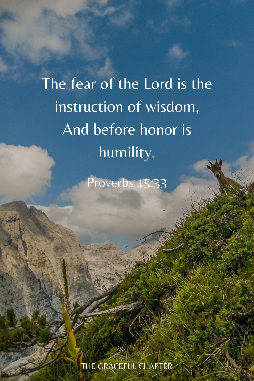 The fear of the Lord is the instruction of wisdom, And before honor is humility. Proverbs 15:33